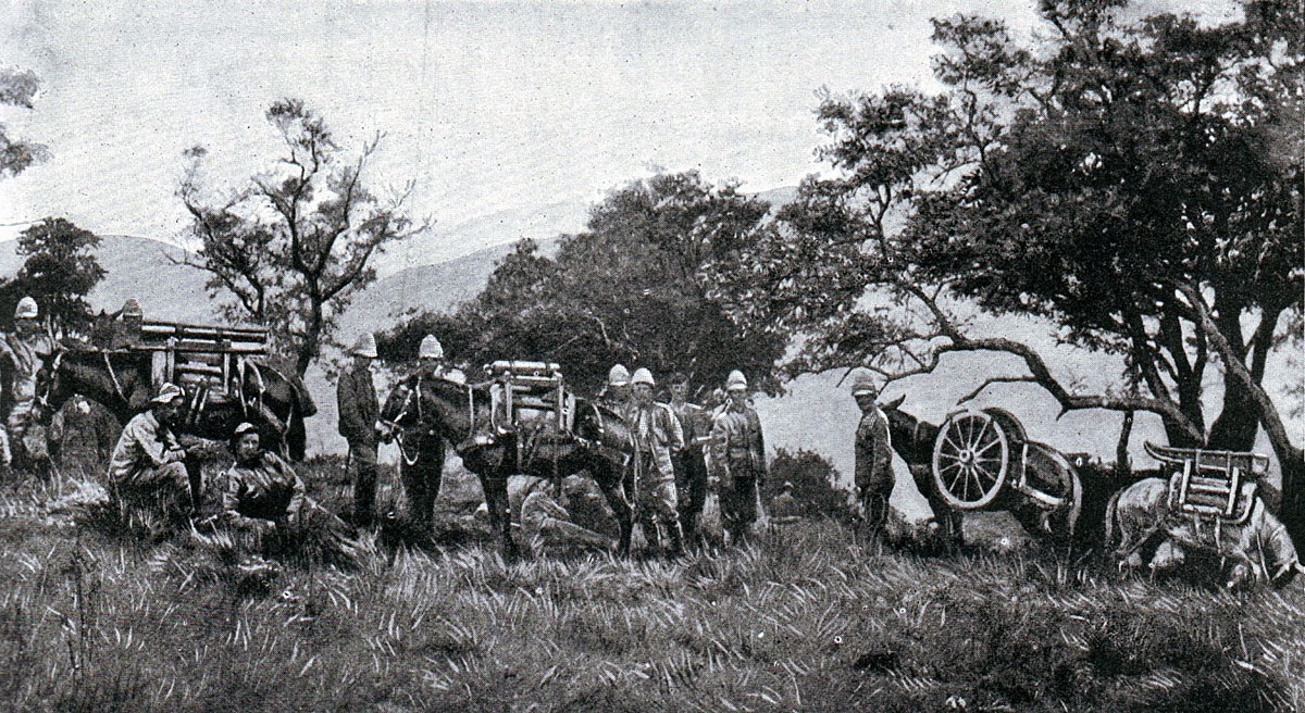 4th Mountain Battery, Spion Kop, South Africa, 1900.